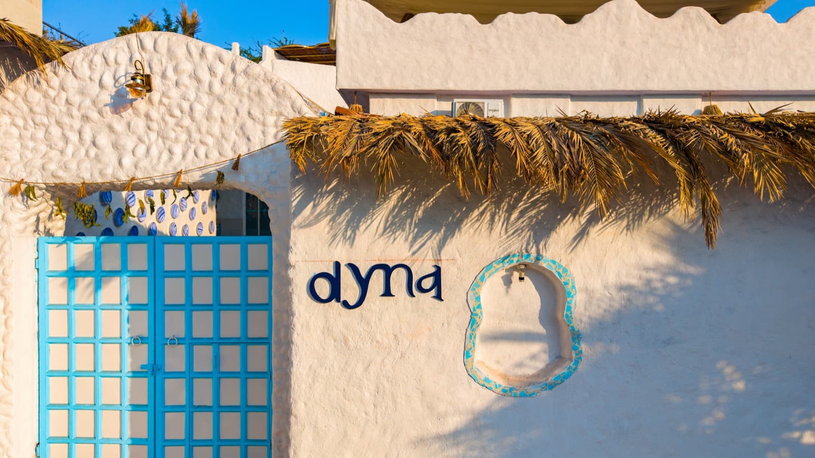 Dyna photo 2